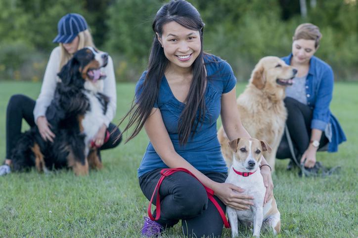 Make Your Dog Park Your Biggest Asset During Leasing and Renewals