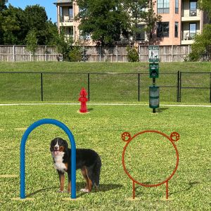 Dog Park Course - Budget Basic