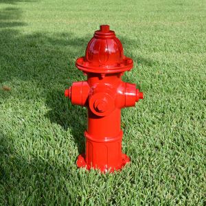 Paw Pal Budget Fire Hydrant