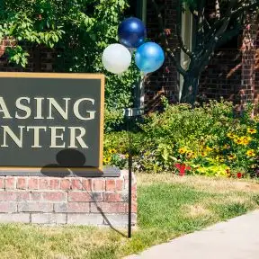 Reusable 3 Balloon Outdoor Clusters - 5 Foot Tall