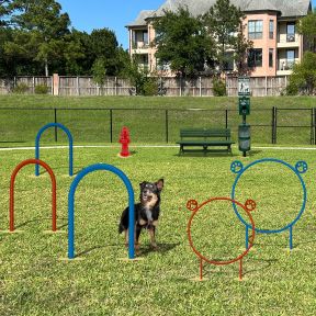 Dog Park Course - Ulti-Mutt Course