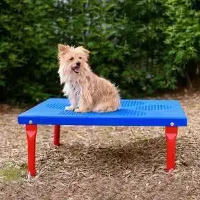 Dog Park Products - Paws Table