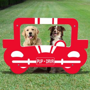 Dog Park Photo Booth - Car