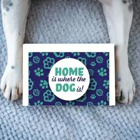 Dog Pet Permit Gift Box