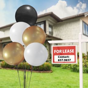Real Estate 5 Balloon Cluster Pole Kit